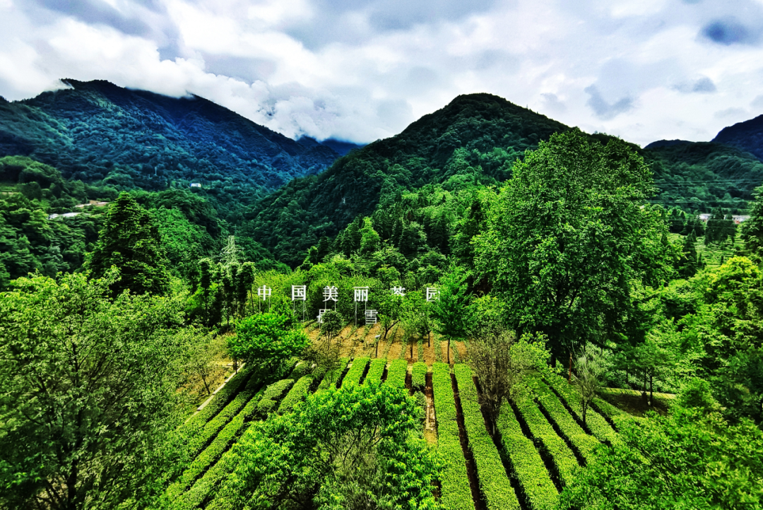 优德88(中国区)最新官方网站