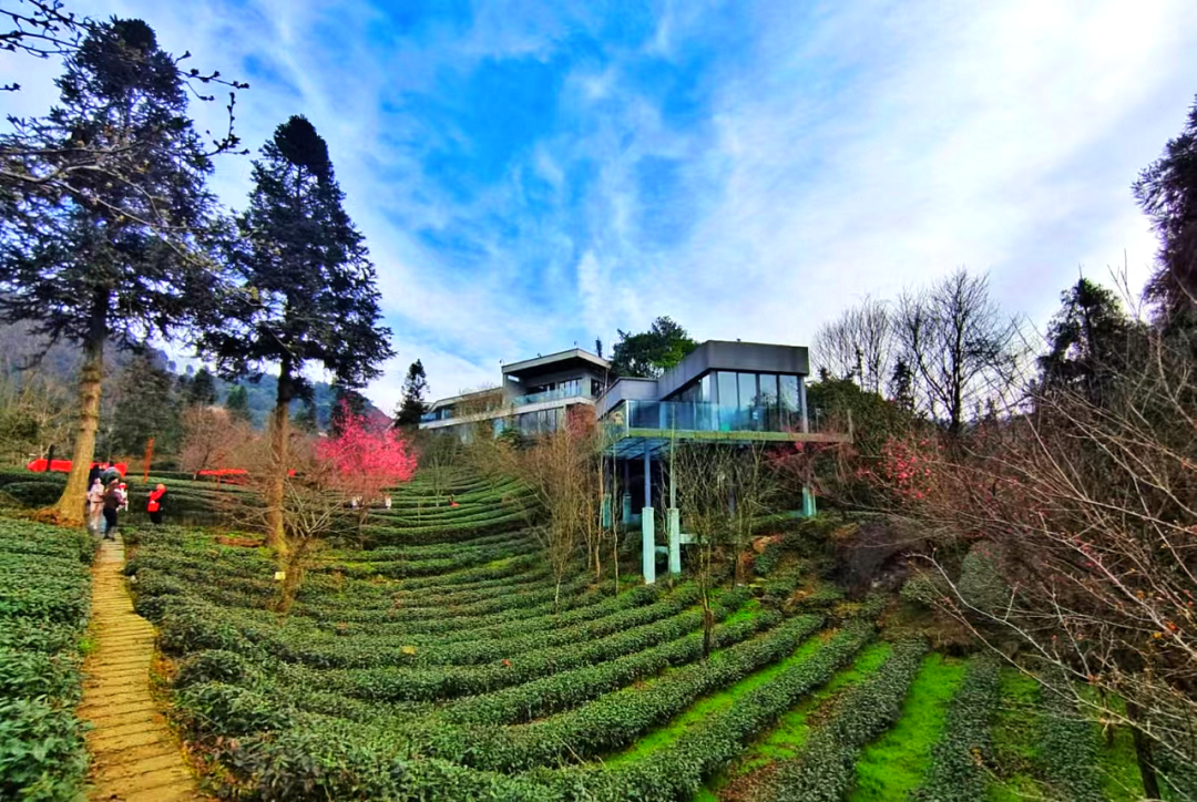 优德88(中国区)最新官方网站